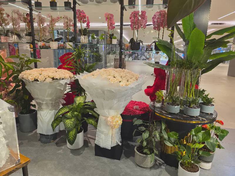 تصویر شماره 2
