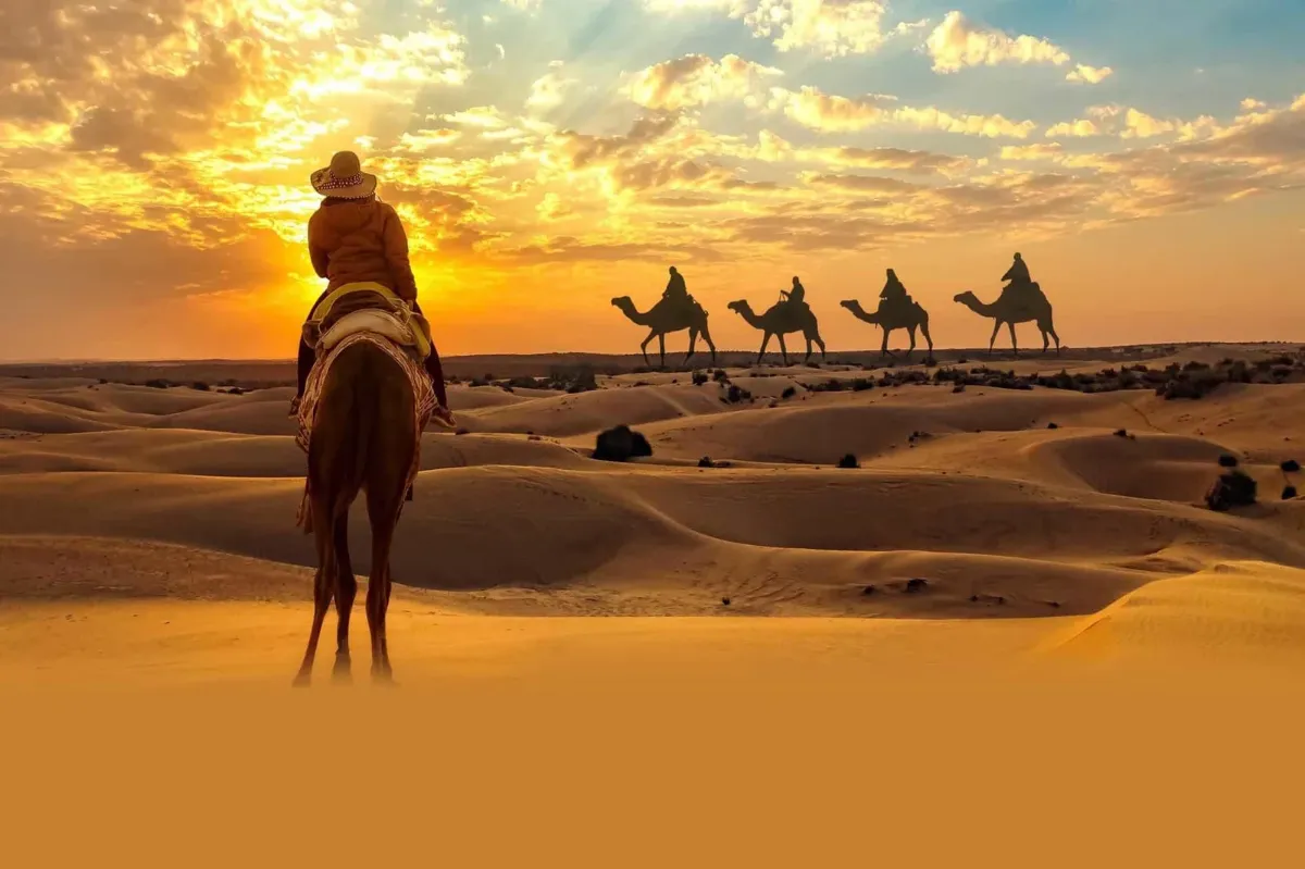 تجربة ثقافية وترفيهية
